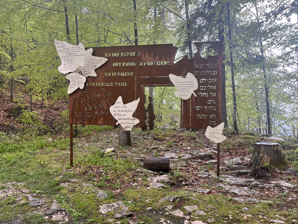 23-05-23 12-14-43 5585